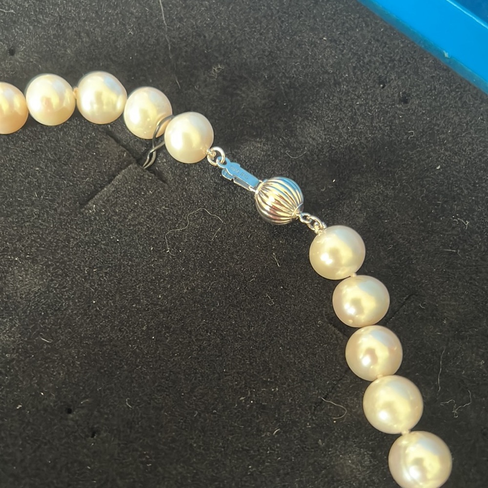 Imperial Pearls by Josh Bazar - Picture 3 of 3